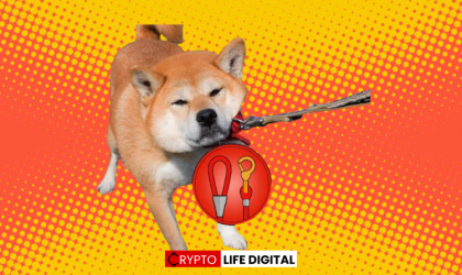 PointPay Announces Listing of Doge Killer Token (LEASH) on Crypto Banking Platform
