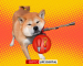 Bitrue Adds LEASH Token to its Platform, Completing the SHIB-Trifecta