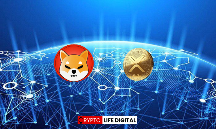 Crypto Experts Project Bull Run to Propel Shiba Inu (SHIB) and XRP