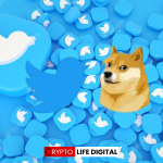 Elon Musk's Twitter Rebranding and Shiba Inu Mention Spark Crypto Speculations