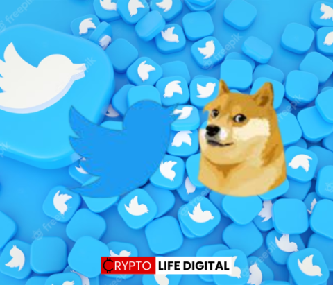 Elon Musk’s Twitter Rebranding and Shiba Inu Mention Spark Crypto Speculations