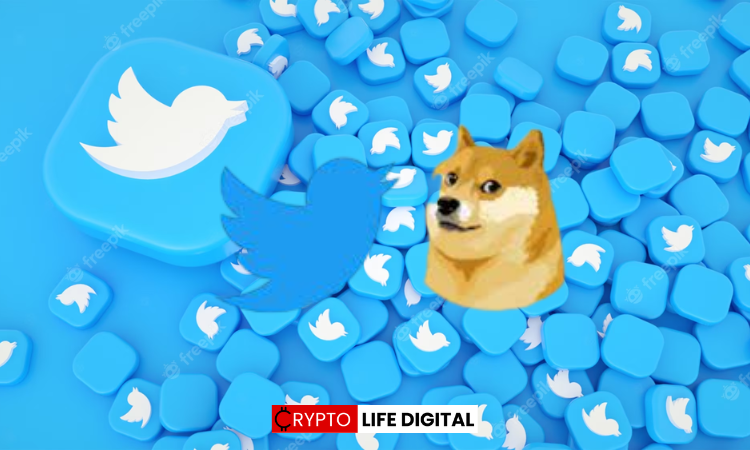 Elon Musk's Twitter Rebranding and Shiba Inu Mention Spark Crypto Speculations