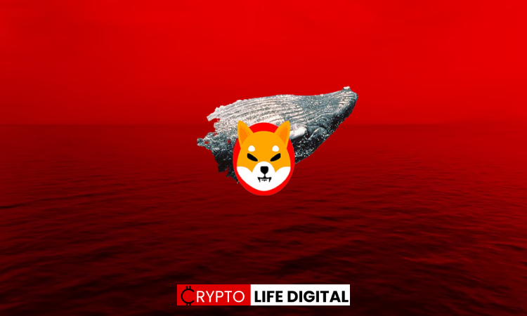 New Whale Address Buys 4 Trillion Shib Tokens 