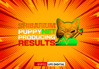 Shiba Inu Community Anticipates Shibarium Mainnet Launch as Puppynet Sees Record Activity