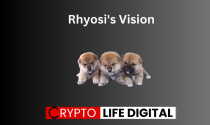 Ryhosi’s Vision Includes a Self-governing System For Cryptocurrencies