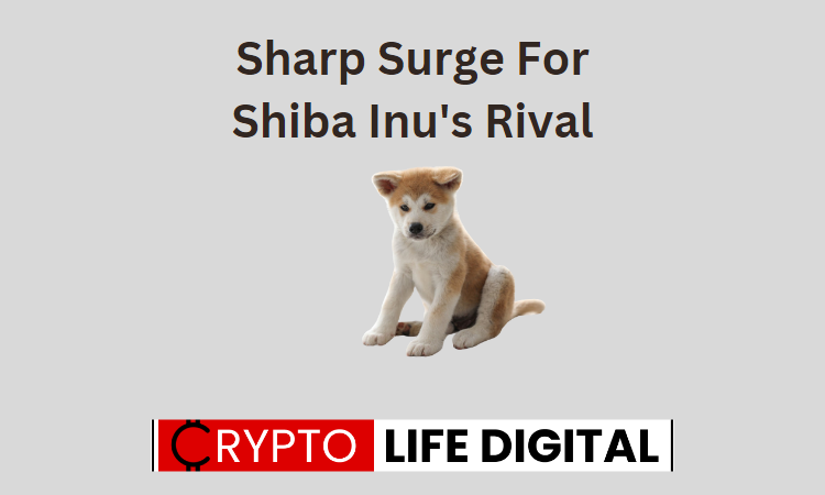 https://cryptolifedigital.com/wp-content/uploads/2023/07/Sharp-Surge-For-Shiba-Inus-Rival.png