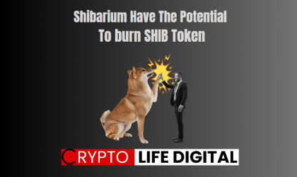 Shibarium Have The Potential Of Increasing SHIB Burn Token According To Lucie