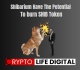 Shibarium Have The Potential Of Increasing SHIB Burn Token According To Lucie