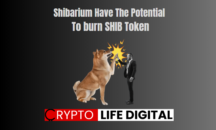 https://cryptolifedigital.com/wp-content/uploads/2023/07/Shibarium-Have-The-Potential-To-Burn-SHIB.png