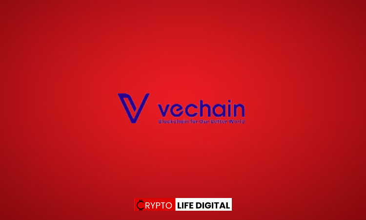 VeChain (VET) Analyst Project Significant Rally, Targeting $1.6 Price Level.