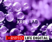 Transformative Potential of XRP Ledger (XRPL) Highlighted by Archax CEO’s Vision