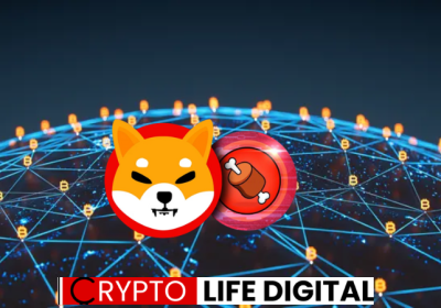 BitMEX Increased Shiba Inu EcoSytem With 4 New Project