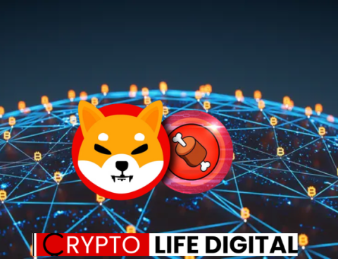 Shiba Inu’s Principal Developer Unveils Bold Plans for Massive SHIB Token Combustion and Global Expansion