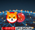 Shiba Inu’s Principal Developer Unveils Bold Plans for Massive SHIB Token Combustion and Global Expansion