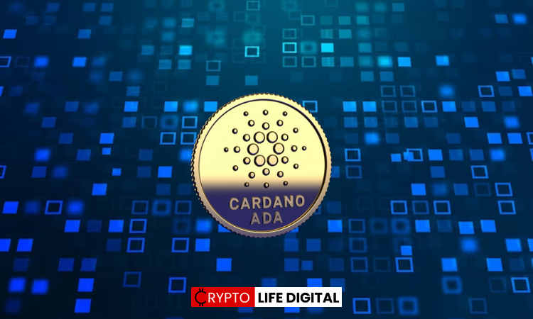 Cardano ranks up to the top 10 crypto assets 