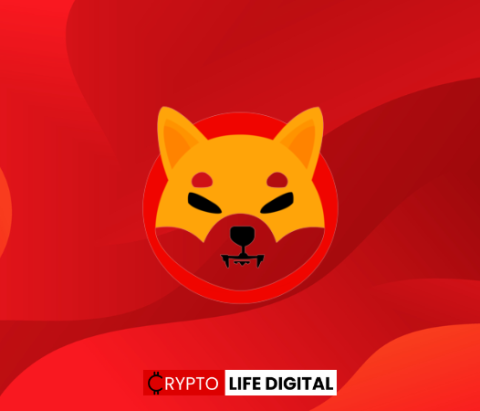 Shibarium Achieves Remarkable Milestone with One Million Transactions and 1.1 Million Wallets in Just Nine Days