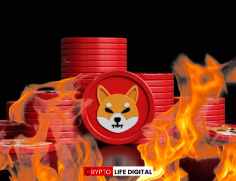 Shiba Inu Lead Developer Aims for Drastic 99.9% Token Burn, Community Reacts Positively
