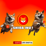 Shiba Inu displays some moves that may lead to $0.00001.