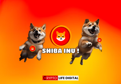 TREAT Token: The Driving Force Behind Shiba Inu’s Future Growth