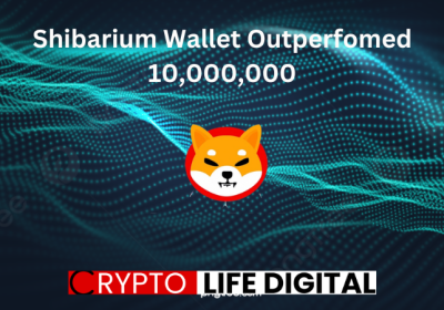 Shibarium Wallets Outperform 10,000,000 As It Received Massive BONE Stake