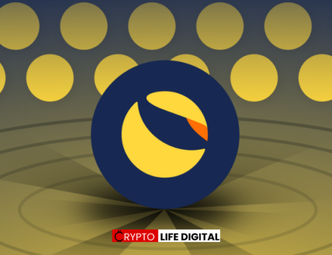 Binance Completes May Terra Classic (LUNC) Burn, Despite Market Challenges