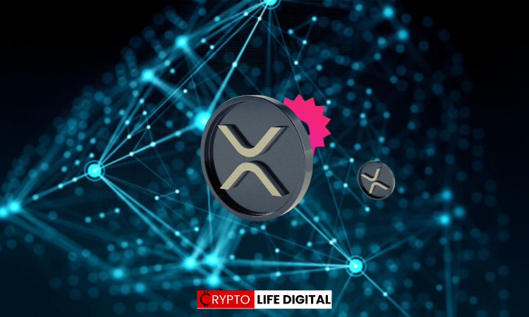 The XRP Myth Busters NFT Twitter account pointed out a crucial concern to the community 