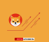 Shiba Inu (SHIB): A Rollercoaster Ride Towards Millionaire Dreams