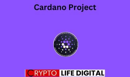 Voting Power Within Cardano Project Catalyst: Significant Imbalance Between ADA Holders