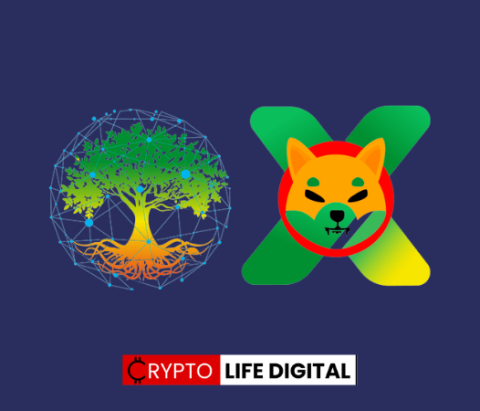 GroveX Exchange Lists Shiba Inu’s Governance Token, Bone ShibaSwap; Shiba Inu Community Stakes Over $24 Million on Shibarium