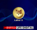 Shiba Inu’s BONE To be Used For Payment In Labor X