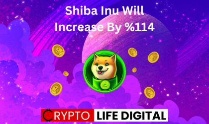 Shiba Inu Will Increase By %114 Percent In 2024: Google Bard Prediction
