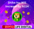 Shiba Inu Will Increase By %114 Percent In 2024: Google Bard Prediction