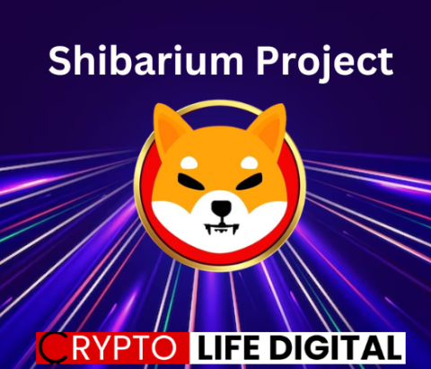 Shibarium Project: 12 Things To Consider Before Investing, According To Team