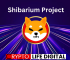 Shibarium Project: 12 Things To Consider Before Investing, According To Team