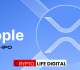 Opportunity for Crypto Community to Invest in Ripple’s Pre-IPO Shares Reopens on Linqto Platform