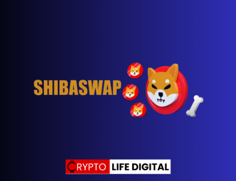 Shibarium Surges: Developers Announce Major SHIB Token Burn Amidst Rising Transactions