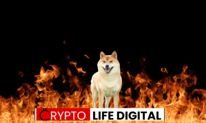 Long Run Profit For Shiba Inu Holders Since 2020