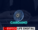 Cardano (ADA) Sees Major Investor Influx, Poised to Reclaim Top 10 Crypto Spot?