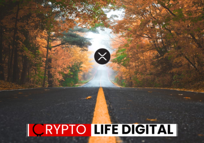 XRP Ecosystem Not Responsible For Price Drive, Ripple;s CTO