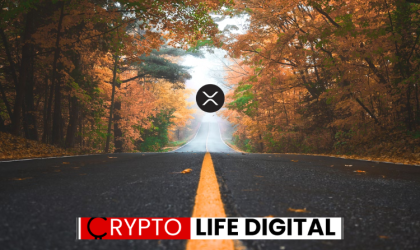 XRP Ecosystem Not Responsible For Price Drive, Ripple;s CTO