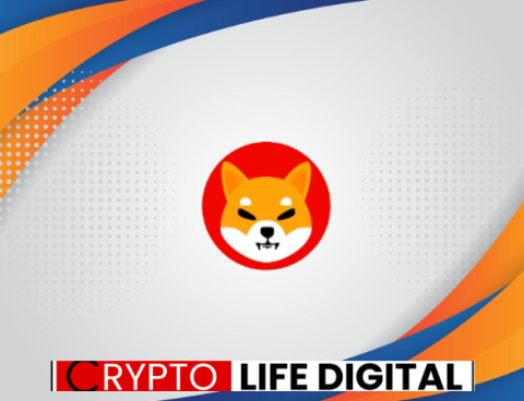 Consistent Growth Hitting Shibarium Network