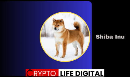 TD Sequential Chart Gives Hint On Shiba Inu Posible Surge Towards A $0.011