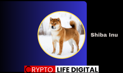 Shiba Inu Coin (SHIB) Experiences Bullish Run, Future Looks Bright