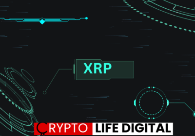 A Warning To XRP Executives On Price Decline