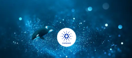 Institutional Momentum Builds For Cardano ADA
