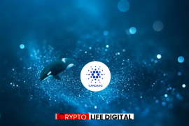 Institutional Momentum Builds For Cardano ADA