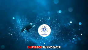 Cardano’s Midnight Sidechain Launches Glacier Drop Airdrop Amid Leios Upgrade Momentum