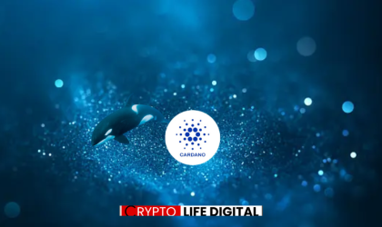 Whale Support: Cardano Triggers For A 2000% Profit