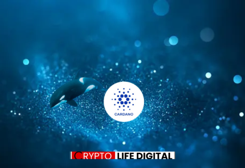 Cardano’s Midnight Sidechain Launches Glacier Drop Airdrop Amid Leios Upgrade Momentum