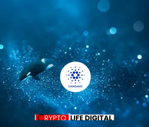 Whale Support: Cardano Triggers For A 2000% Profit